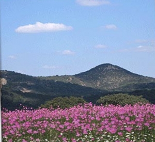Paisajes de montaña
